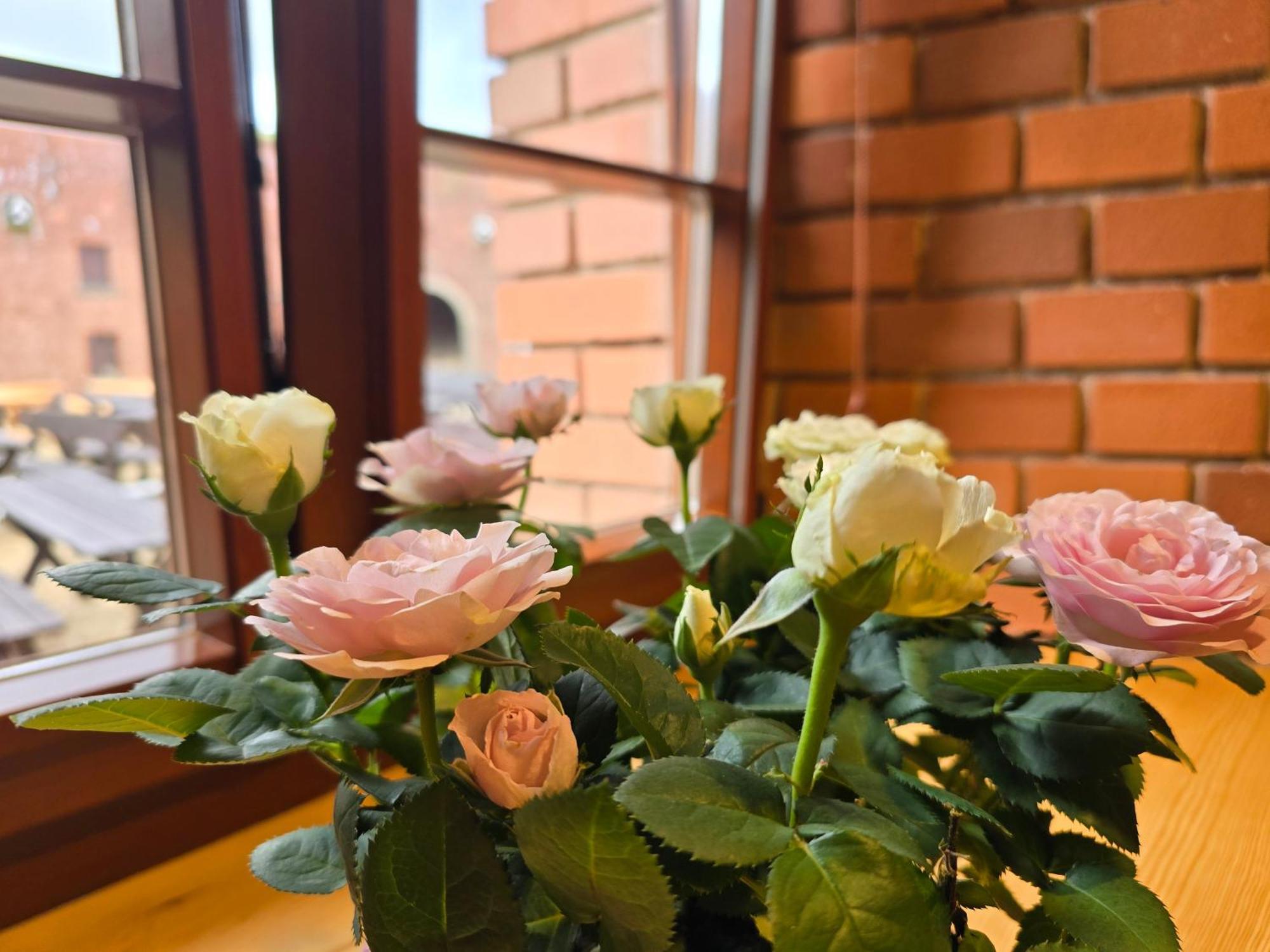 Twierdza Srebrna Gora Donzon Esterno foto